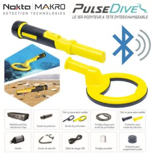 NOKTA Pulse Dive 2 en 1